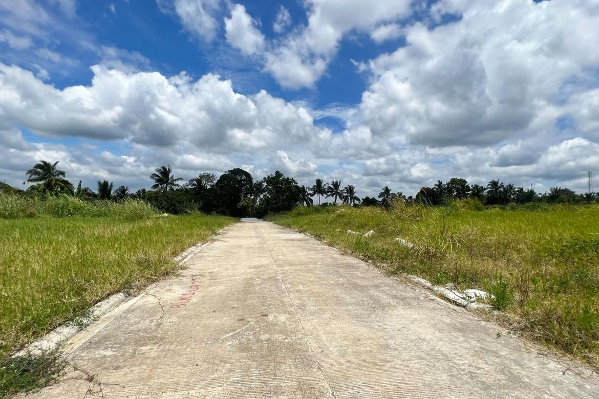 Land for Sale in Panungyan II, Mendez, Cavite – photo 3