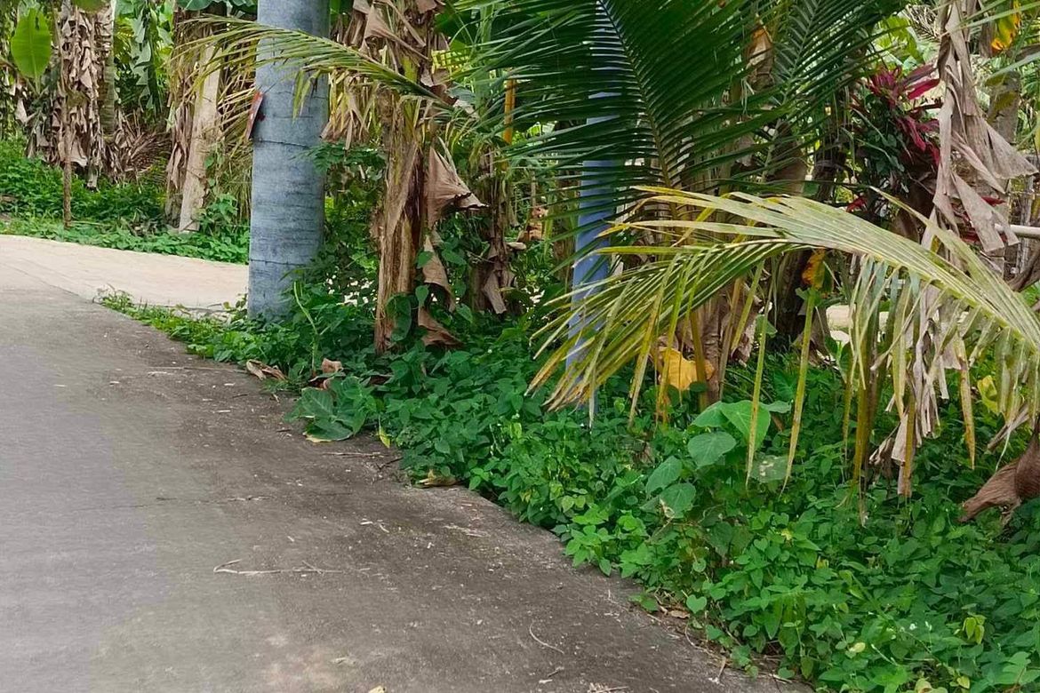 Land for Sale in Panungyanan, General Trias, Cavite – photo 2