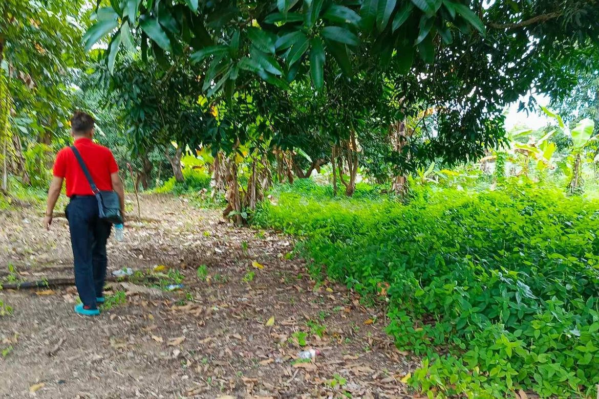 Land for Sale in Panungyanan, General Trias, Cavite – photo 4