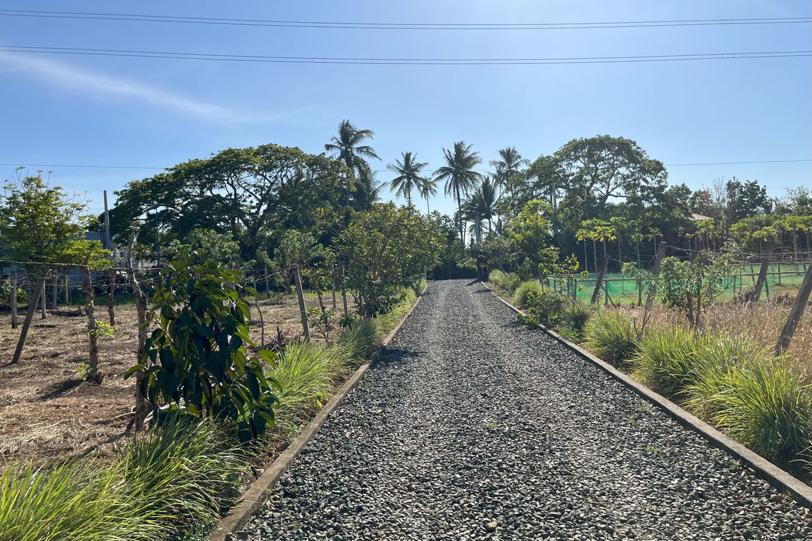 Land for Sale in Panungyanan, General Trias, Cavite – photo 4