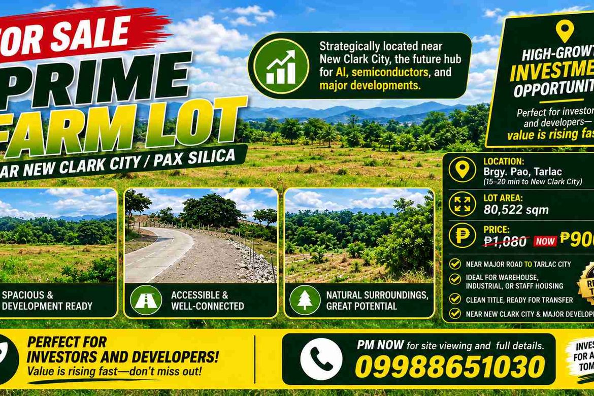 Land for Sale in Pao, San Jose, Tarlac