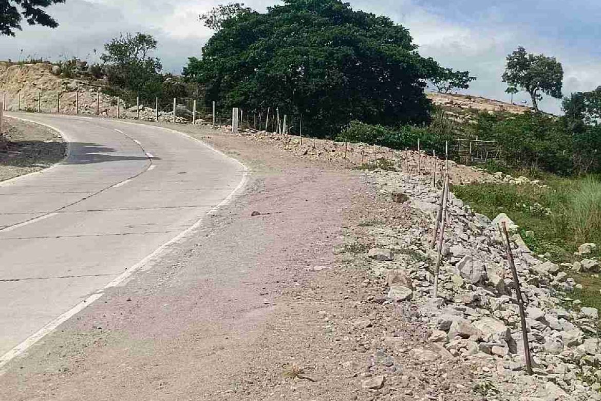 Land for Sale in Pao, San Jose, Tarlac – photo 6