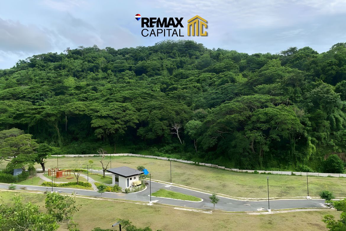 Land for Sale in Papaya, Nasugbu, Batangas