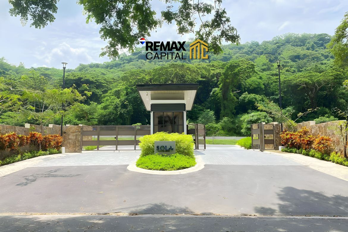 Land for Sale in Papaya, Nasugbu, Batangas – photo 2