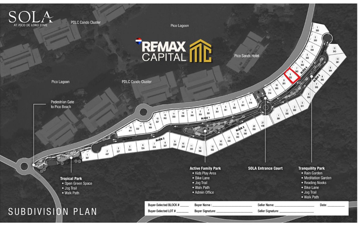 Land for Sale in Papaya, Nasugbu, Batangas – photo 8