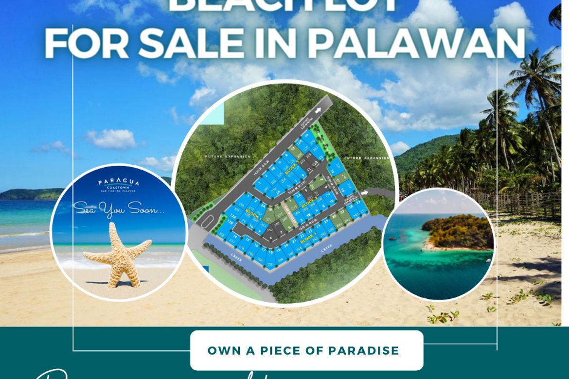 Land for Sale in Paragua Coastown, Kemdeng, San Vicente, Palawan