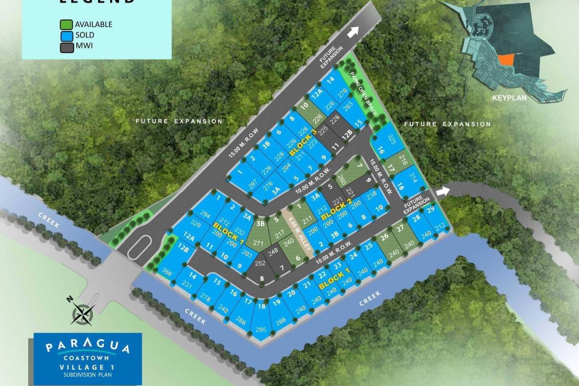 Land for Sale in Paragua Coastown, Kemdeng, San Vicente, Palawan – photo 2