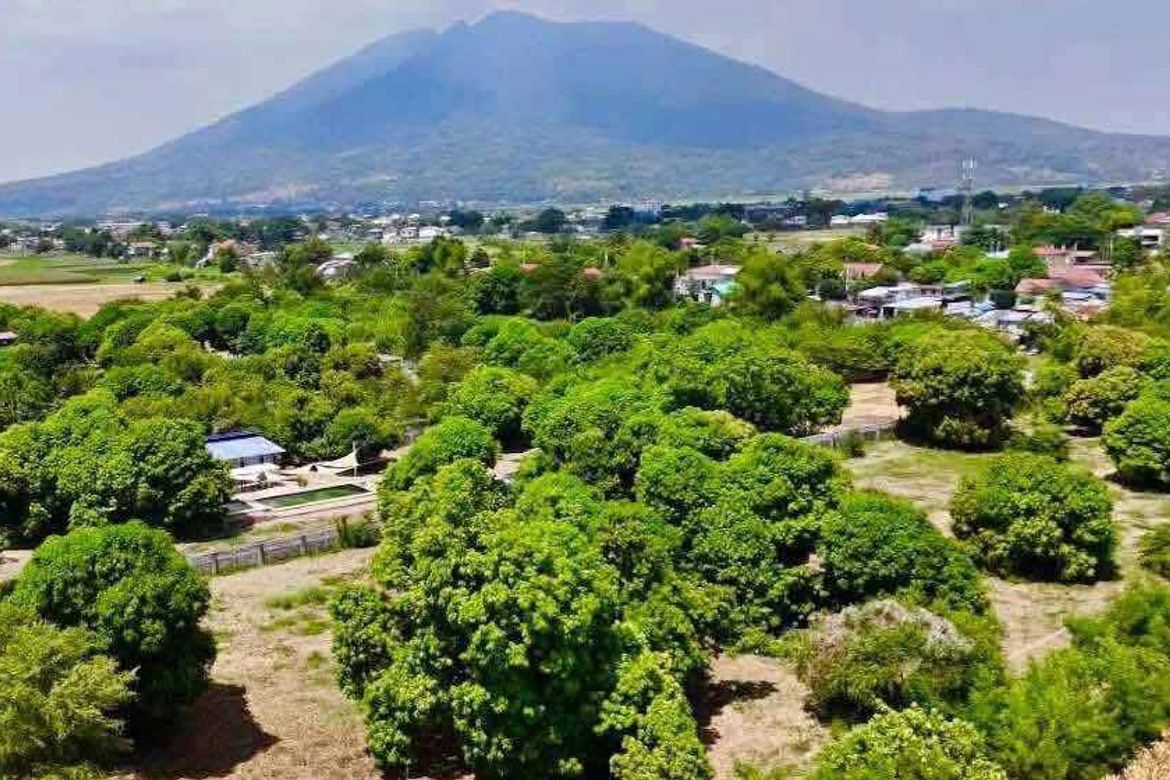 Land for Sale in Paralaya, Arayat, Pampanga – photo 5