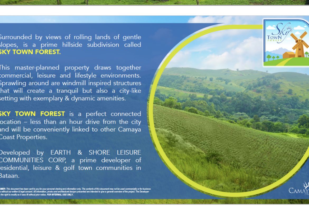 Land for Sale in Parang, Bagac, Bataan – photo 4