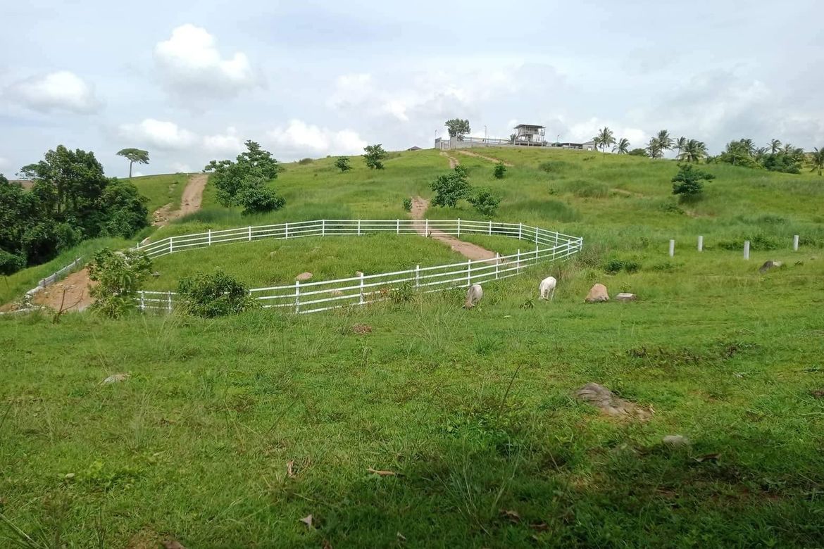 Land for Sale in Parang, Bagac, Bataan – photo 3