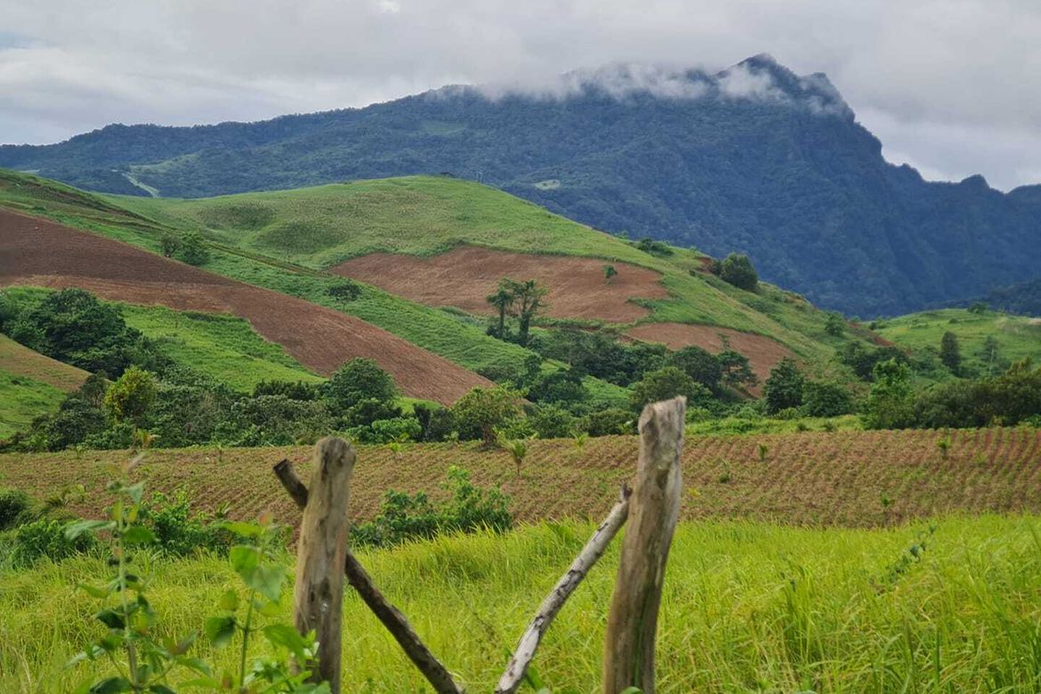 Land for Sale in Parang, Bagac, Bataan – photo 6