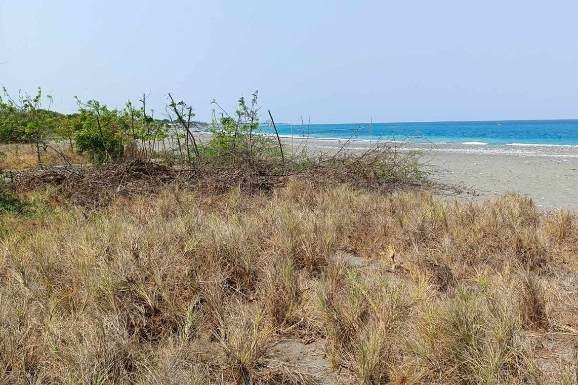 Land for Sale in Paratong No. 4, Bangar, La Union