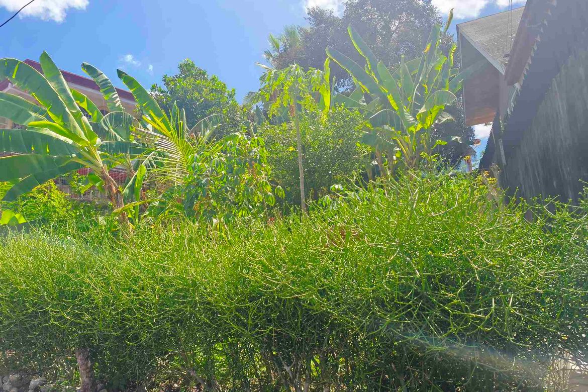 Land for Sale in Pardo, Cebu City, Cebu – photo 2