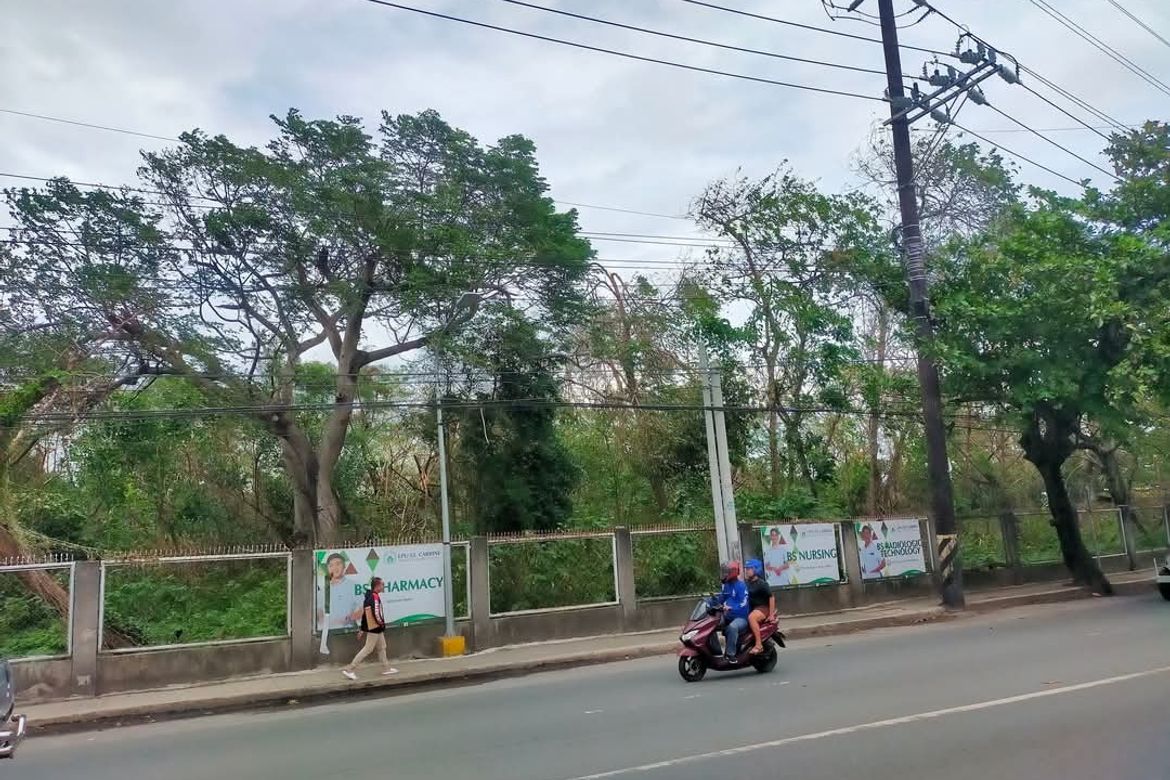 Land for Sale in Parian, Calamba, Laguna – photo 3