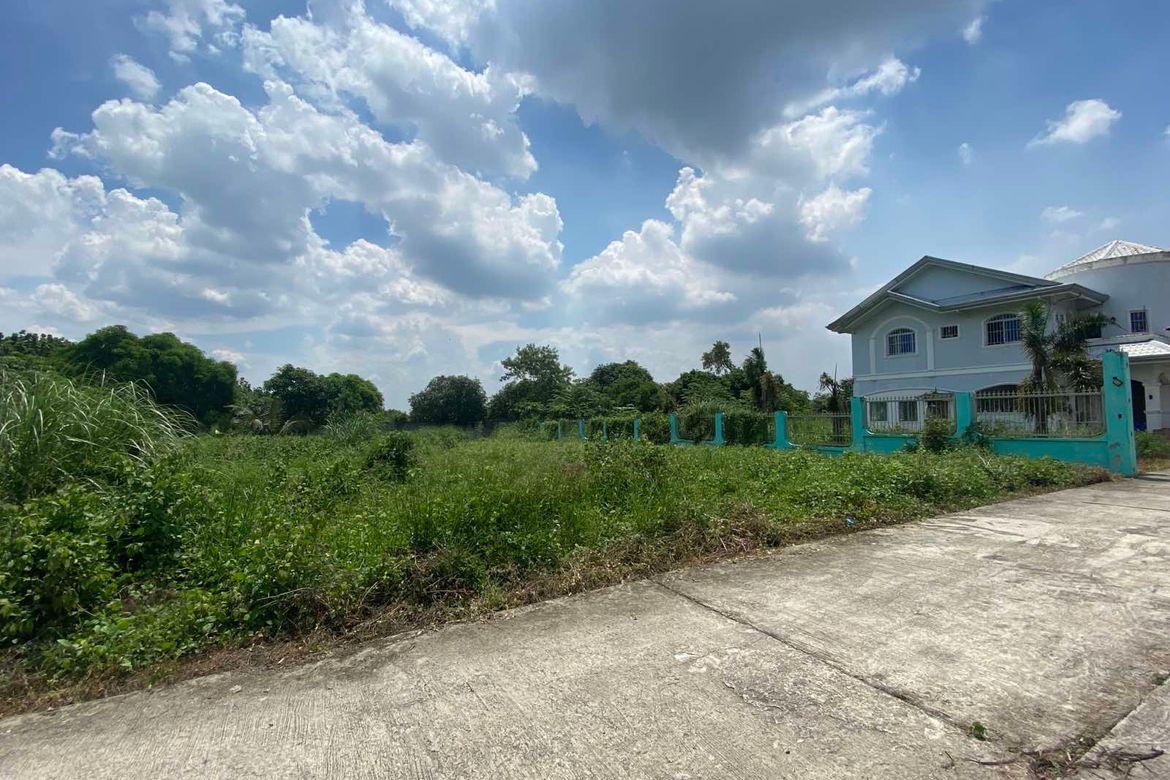 Land for Sale in Pasong Bangkal, San Rafael, Bulacan – photo 3