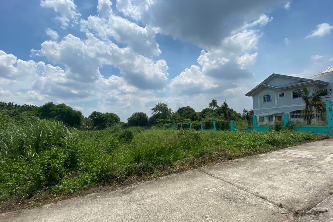 Land for Sale in Pasong Bangkal, San Rafael, Bulacan – photo 4