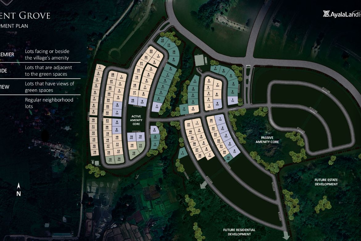 Land for Sale in Pasong Buaya I, Imus, Cavite – photo 2