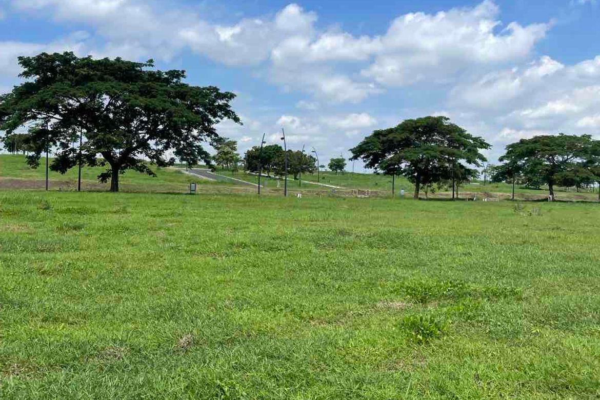 Land for Sale in Pasong Buaya I, Imus, Cavite – photo 7