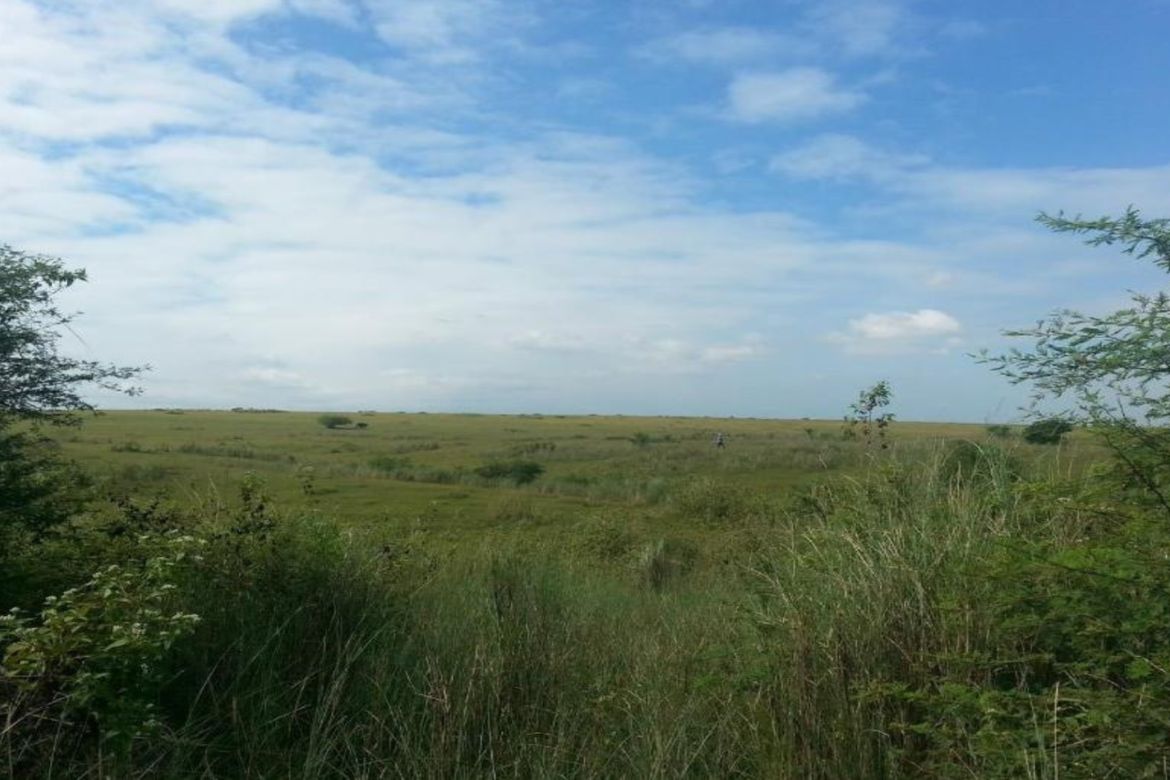Land for Sale in Pasong Buaya I, Imus, Cavite – photo 8