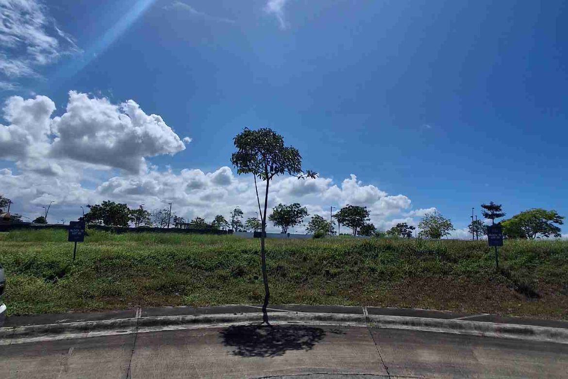 Land for Sale in Pasong Buaya I, Imus, Cavite – photo 8