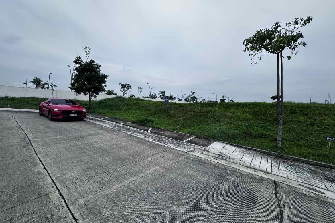 Land for Sale in Pasong Buaya II, Imus, Cavite – photo 4
