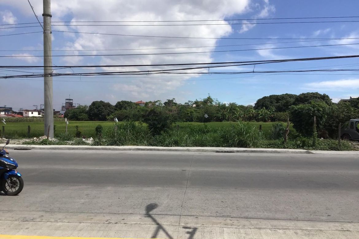 Land for Sale in Pasong Camachile I, General Trias, Cavite – photo 3