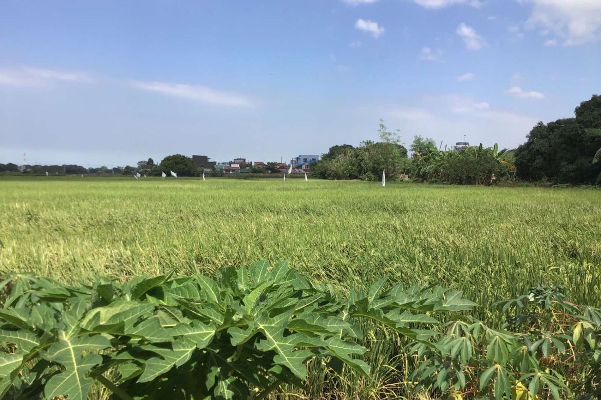 Land for Sale in Pasong Camachile I, General Trias, Cavite – photo 4