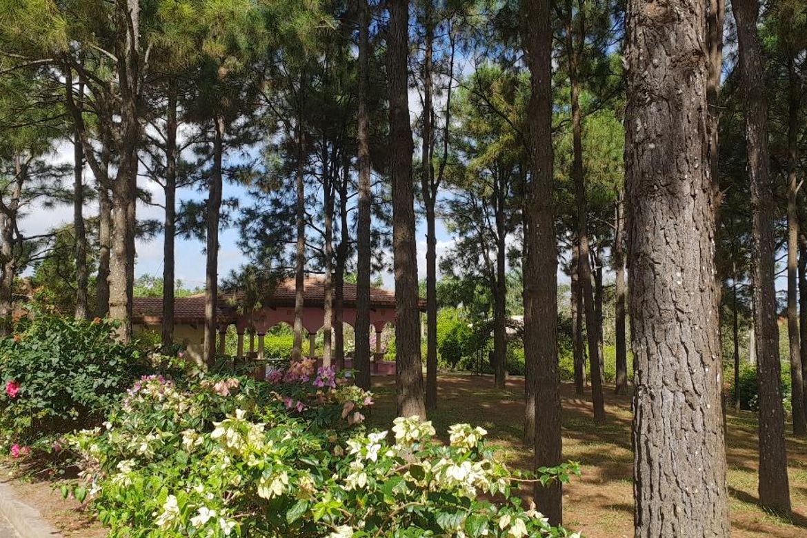 Land for Sale in Pasong Langka, Silang, Cavite – photo 4