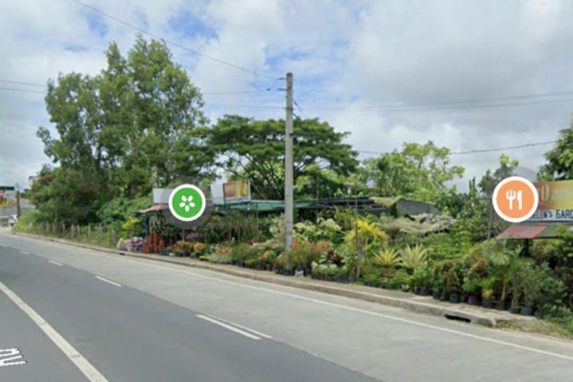 Land for Sale in Pasong Langka, Silang, Cavite – photo 2