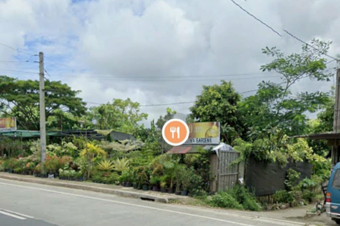 Land for Sale in Pasong Langka, Silang, Cavite – photo 3