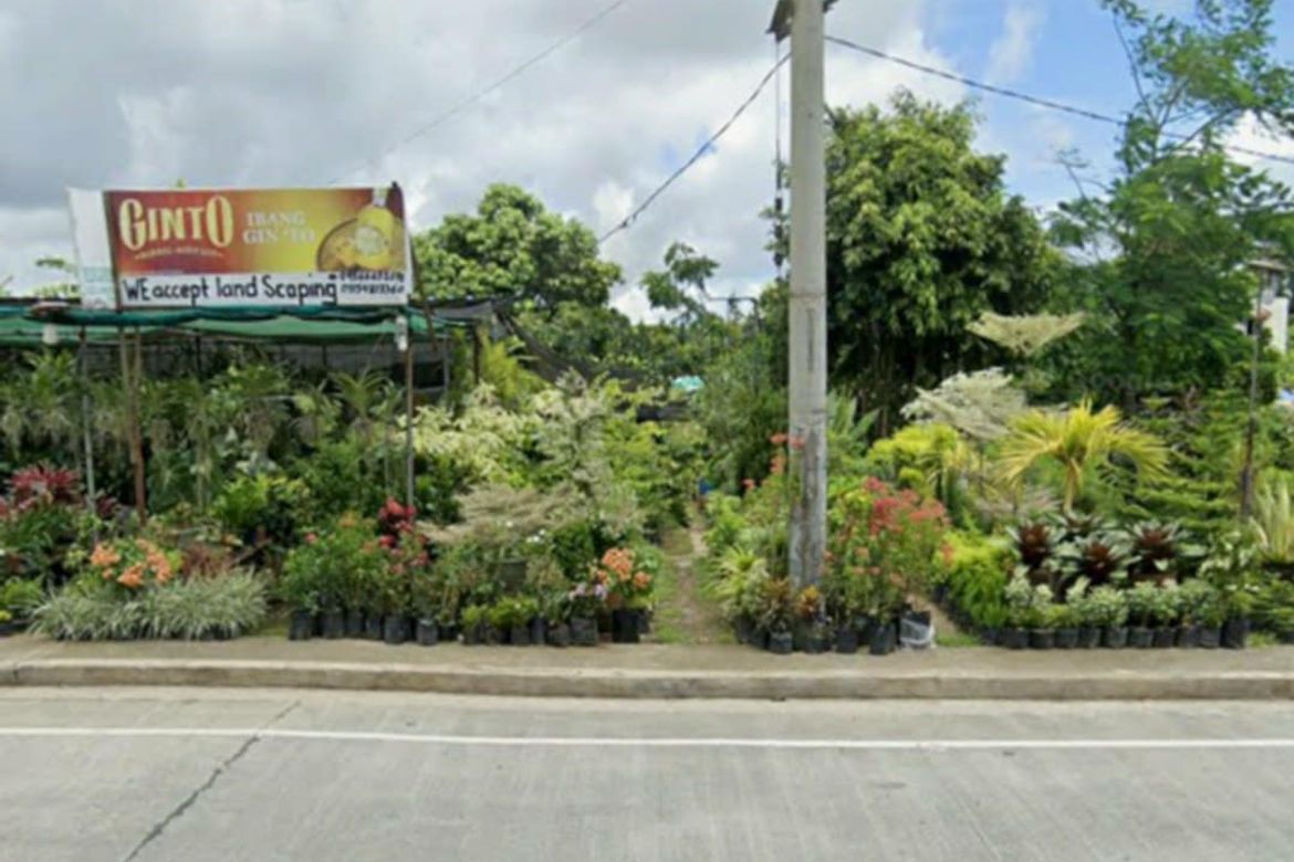 Land for Sale in Pasong Langka, Silang, Cavite – photo 5