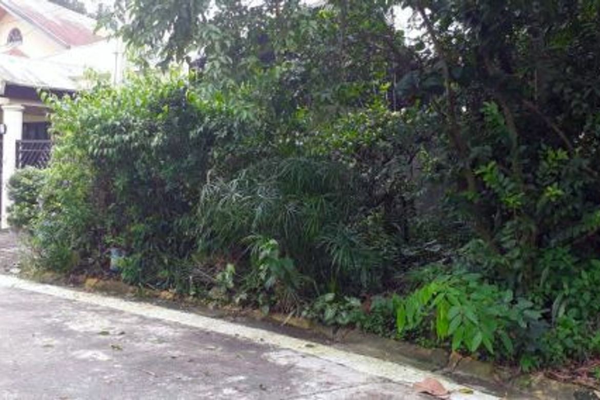 Land for Sale in Pasong Putik Proper, Quezon City, Metro Manila – photo 5