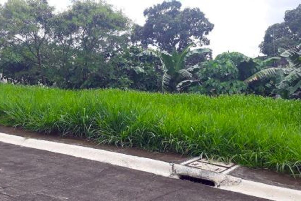 Land for Sale in Pasong Tamo, Quezon City, Metro Manila – photo 7
