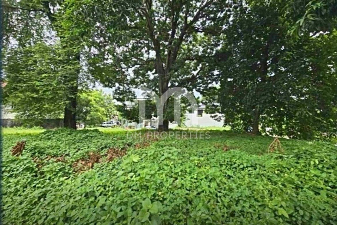 Land for Sale in Pasong Tamo, Quezon City, Metro Manila – photo 3