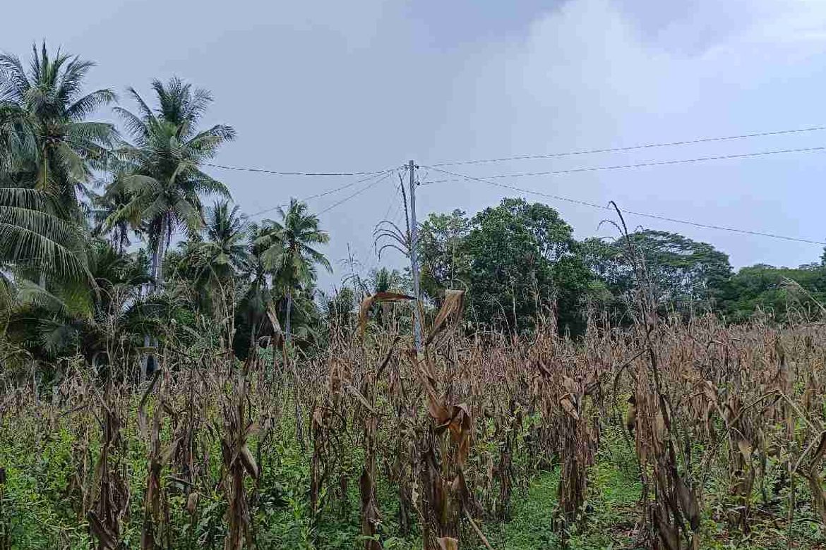 Land for Sale in Patag, Opol, Misamis Oriental