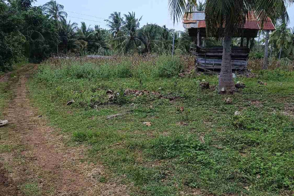 Land for Sale in Patag, Opol, Misamis Oriental – photo 4