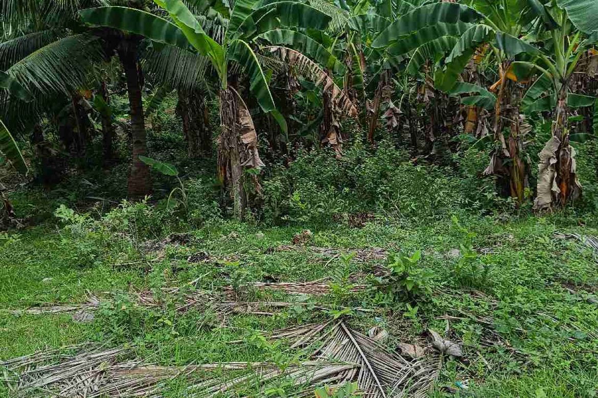 Land for Sale in Patag, Opol, Misamis Oriental – photo 6