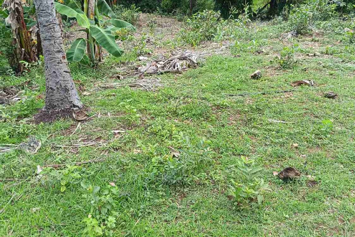 Land for Sale in Patag, Opol, Misamis Oriental – photo 7