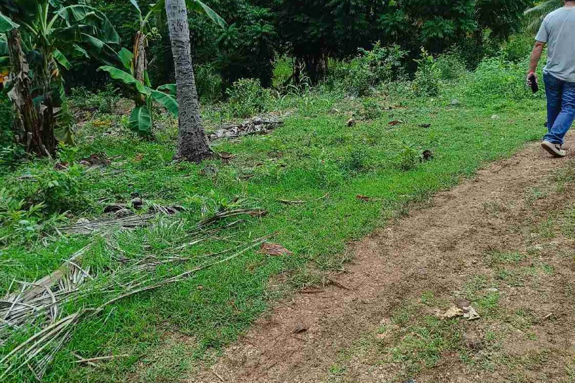 Land for Sale in Patag, Opol, Misamis Oriental – photo 8