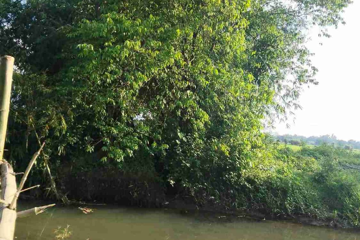 Land for Sale in Patrocinio, San Narciso, Zambales – photo 2