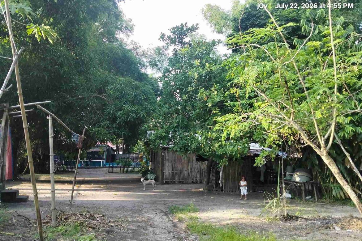Land for Sale in Patrocinio, San Narciso, Zambales – photo 3