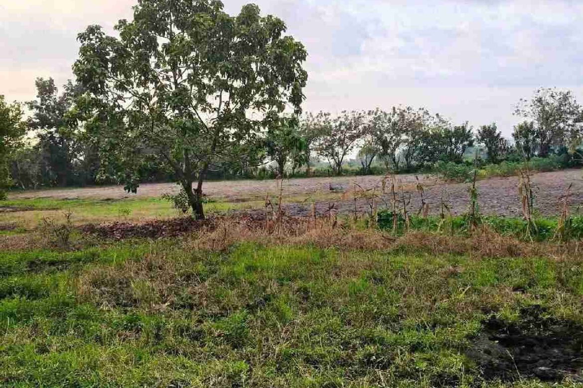 Land for Sale in Patrocinio, San Narciso, Zambales – photo 2
