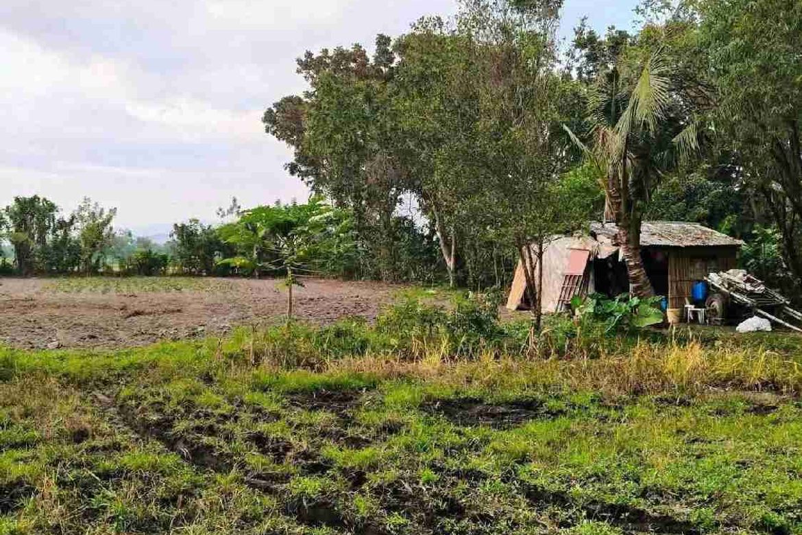 Land for Sale in Patrocinio, San Narciso, Zambales – photo 3