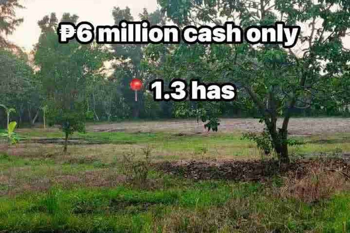 Land for Sale in Patrocinio, San Narciso, Zambales – photo 5