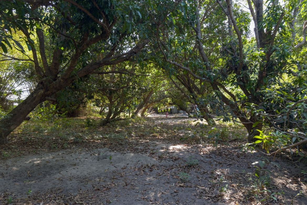 Land for Sale in Patrocinio, San Narciso, Zambales – photo 7