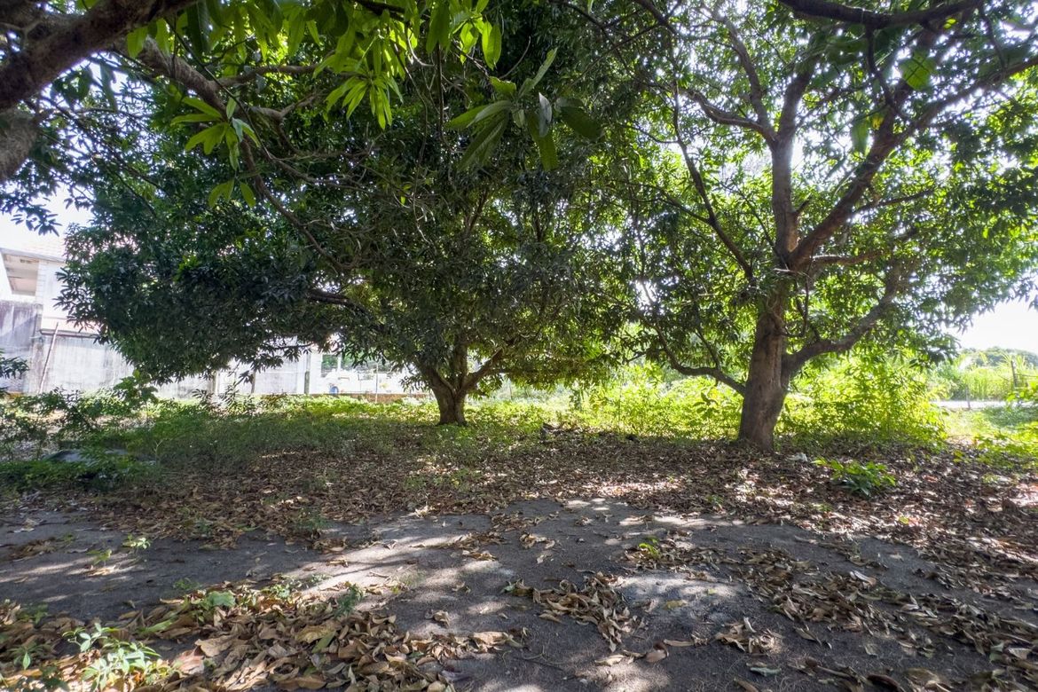 Land for Sale in Patrocinio, San Narciso, Zambales – photo 8