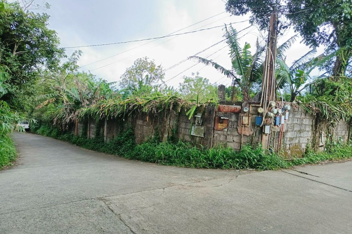 Land for Sale in Patutong Malaki North, Tagaytay, Cavite – photo 3