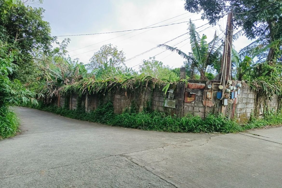 Land for Sale in Patutong Malaki North, Tagaytay, Cavite – photo 5