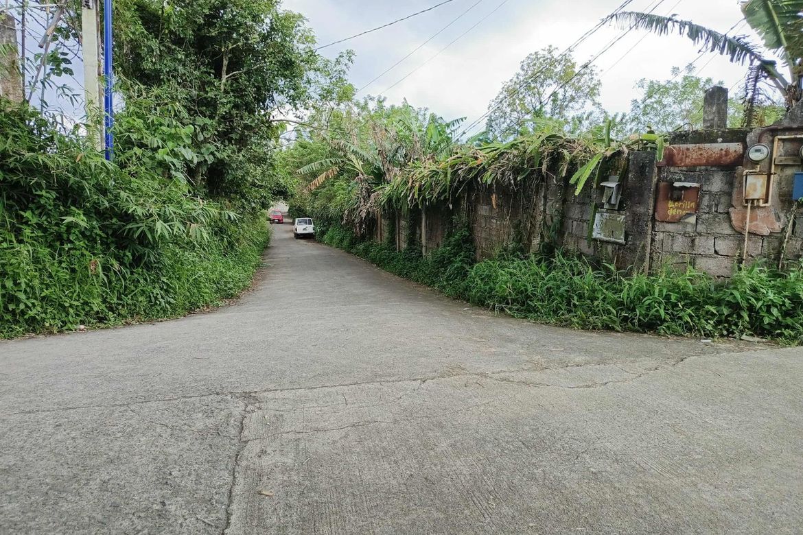 Land for Sale in Patutong Malaki North, Tagaytay, Cavite – photo 3