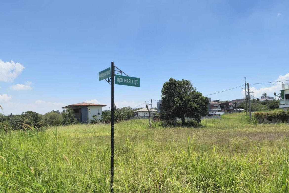 Land for Sale in Patutong Malaki North, Tagaytay, Cavite – photo 5